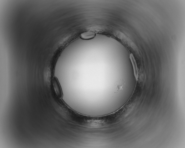 X0000093510448200711091724