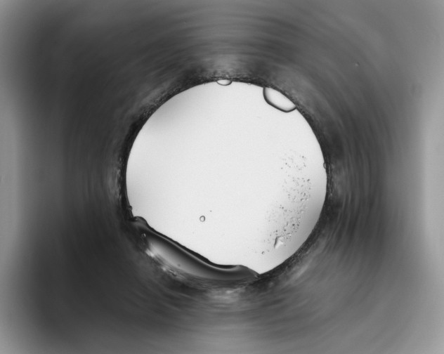 X0000093510450200711091724