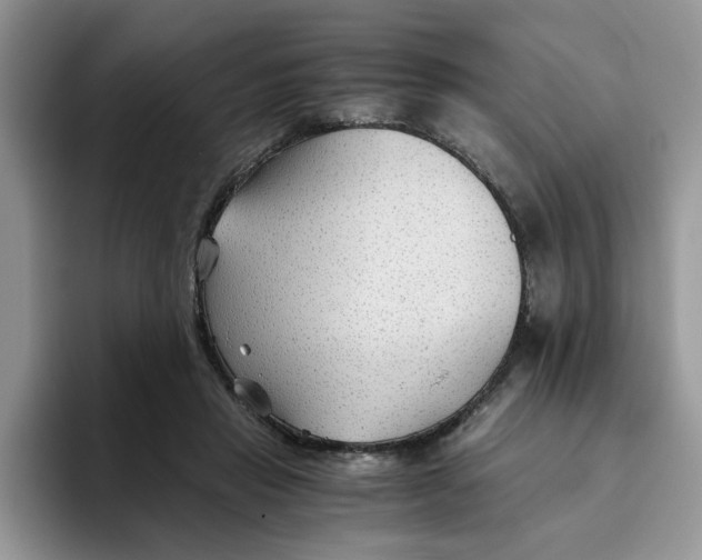 X0000093510453200711091724