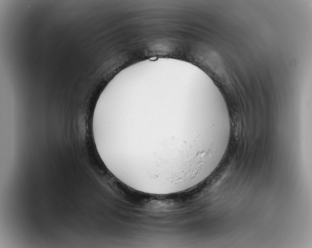 X0000093510455200711091724