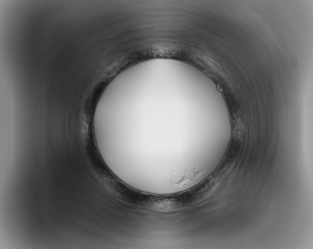 X0000093510456200711091724