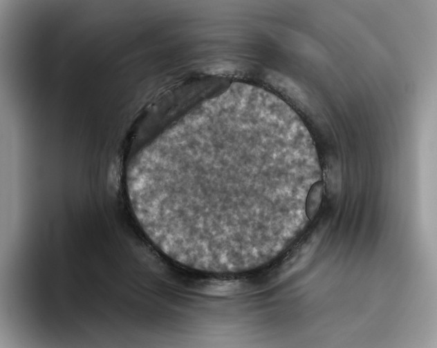 X0000093510458200711091724