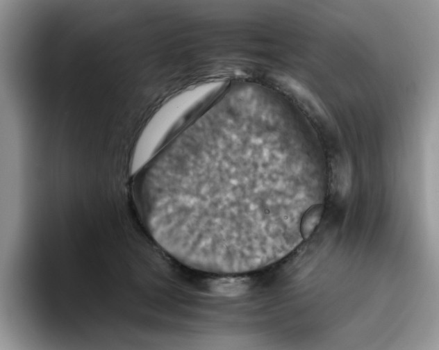 X0000093510465200711091724