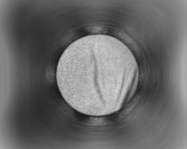 X0000093510469200711091724