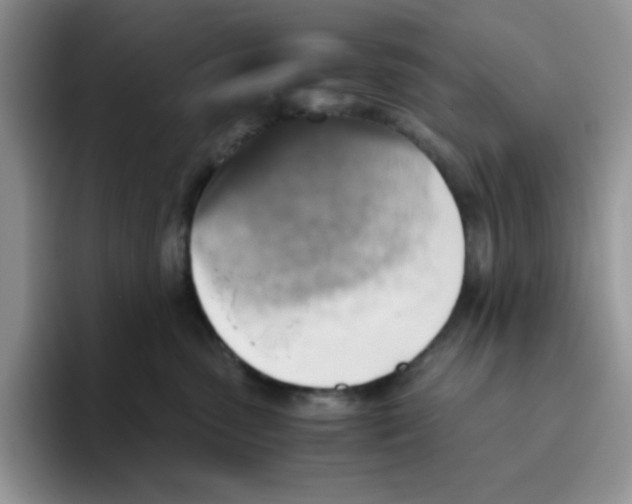 X0000093510475200711091724