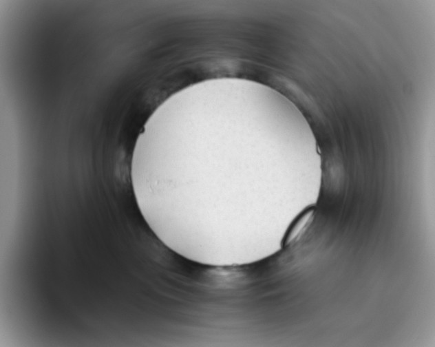 X0000093510477200711091724