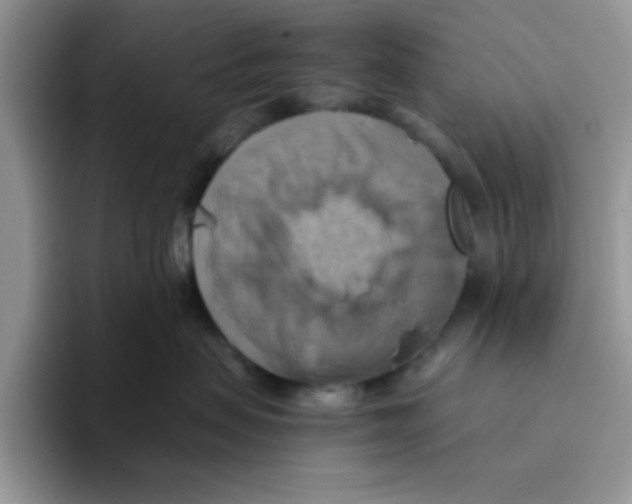 X0000093510479200711091725