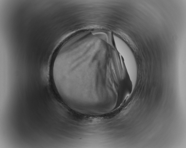 X0000093510484200711091724