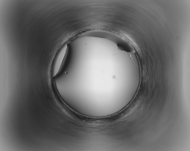 X0000093510485200711091724