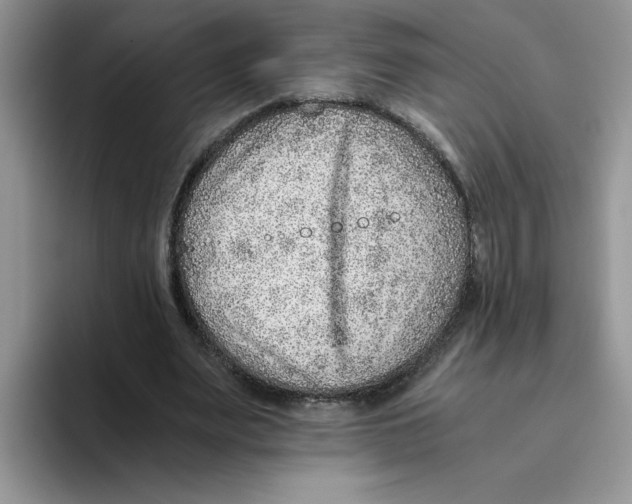 X0000093510487200711091724