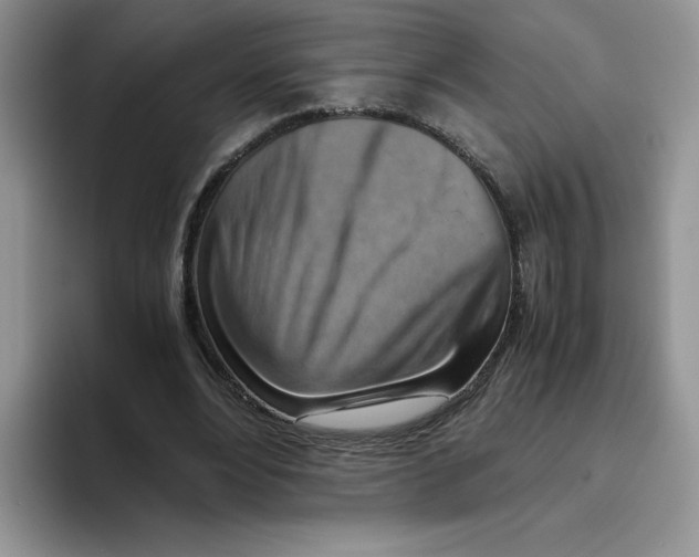 X0000093510488200711091724