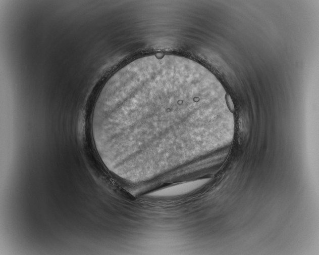 X0000093510492200711091724