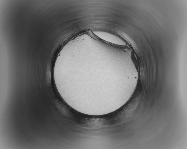 X0000093510493200711091724