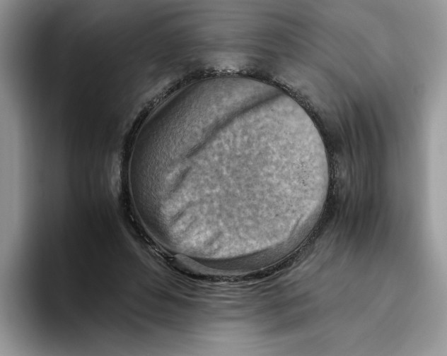 X0000093510496200711091724