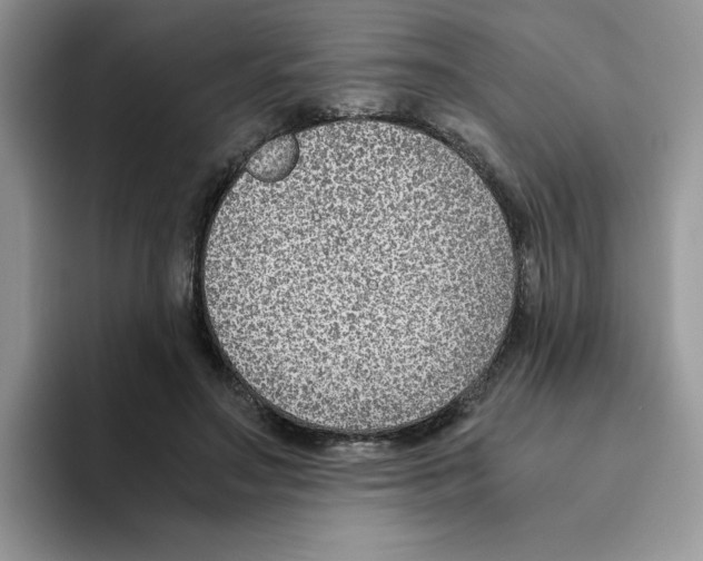 X0000093510499200711091724