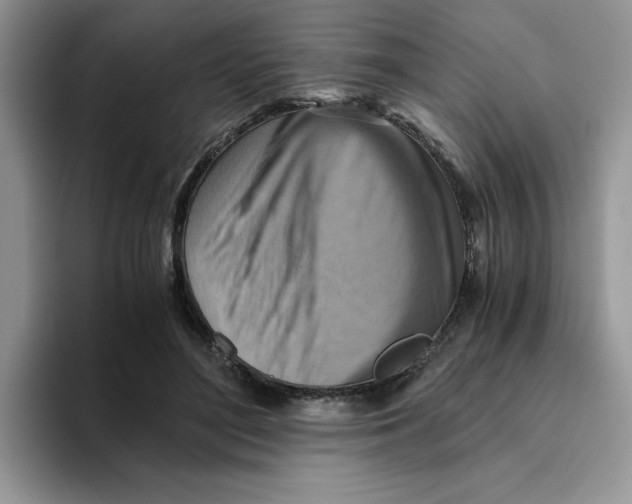 X0000093510500200711091724