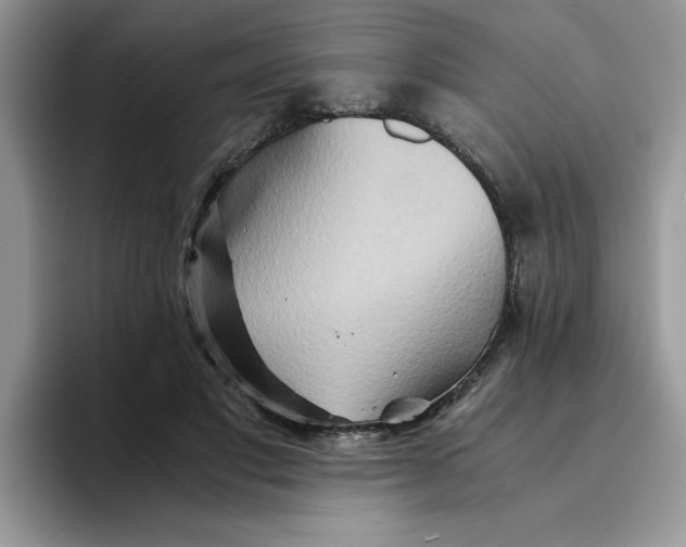 X0000093510501200711091724