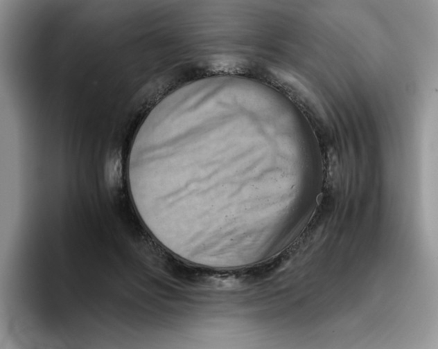 X0000093510502200711091724