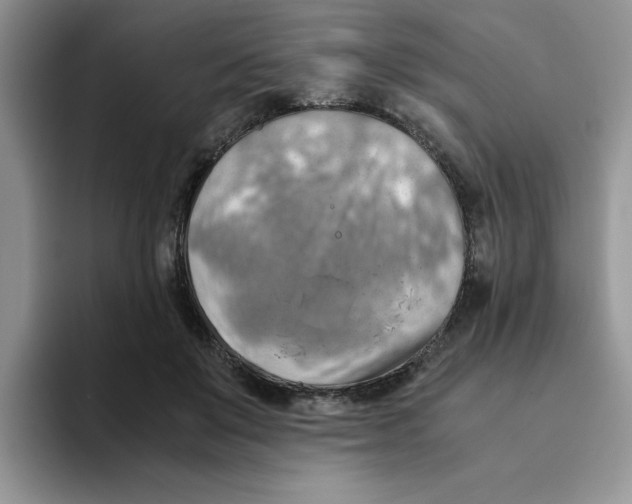 X0000093510503200711091724