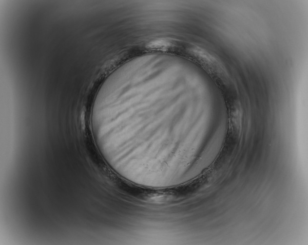 X0000093510504200711091724