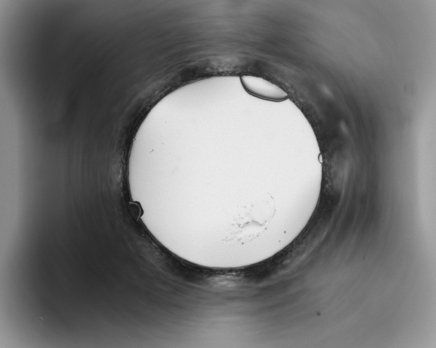 X0000093510505200711091724