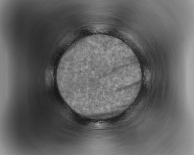 X0000093510506200711091724