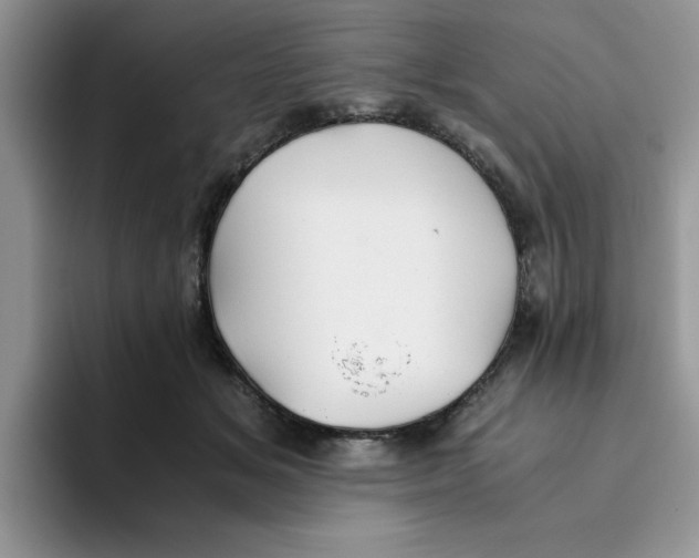 X0000093510509200711091724