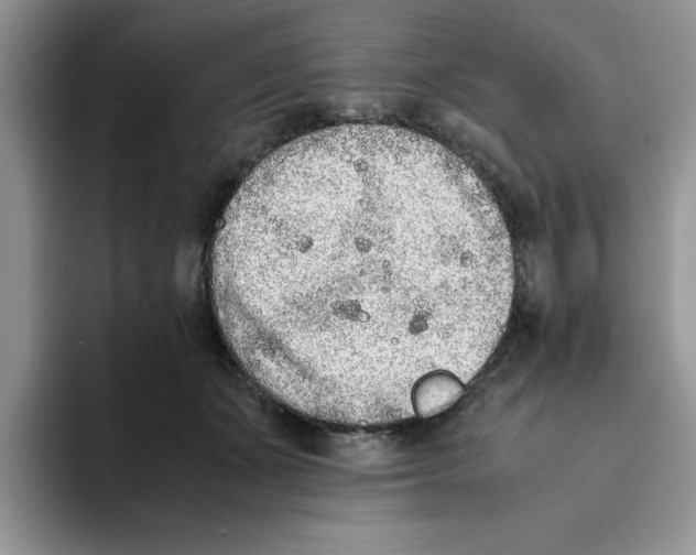 X0000093510511200711091724