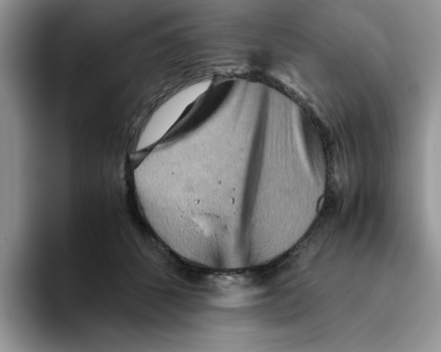 X0000093510512200711091724