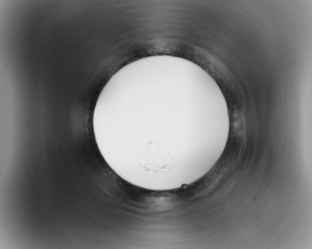 X0000093510514200711091724