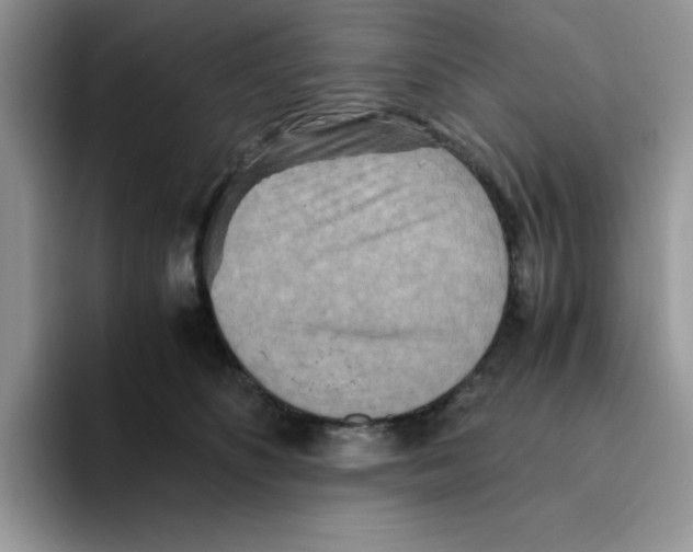 X0000093510516200711091724