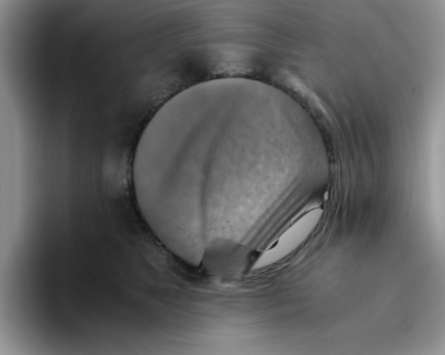 X0000093510517200711091724