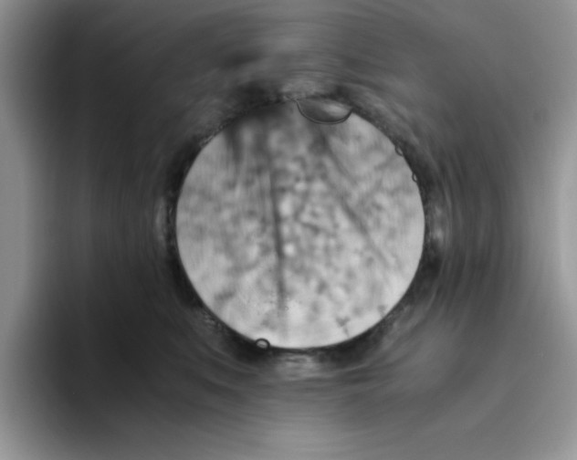 X0000093510519200711091724