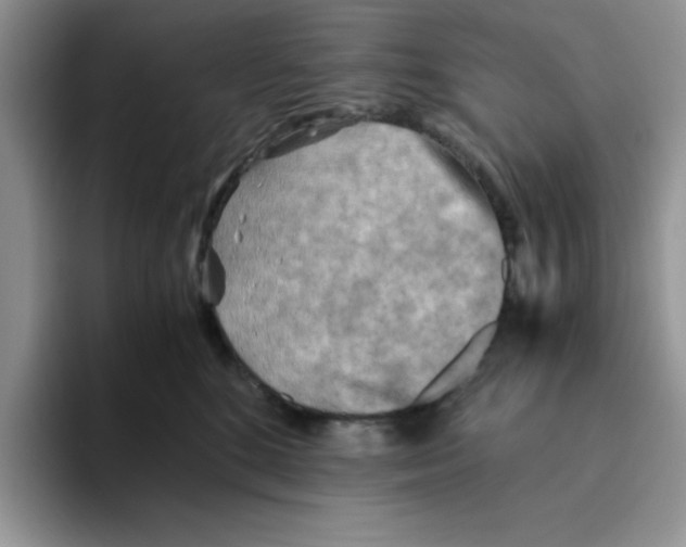 X0000093510520200711091724