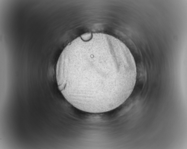 X0000093510523200711091723