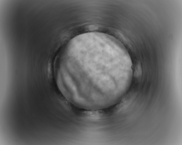 X0000093510524200711091723