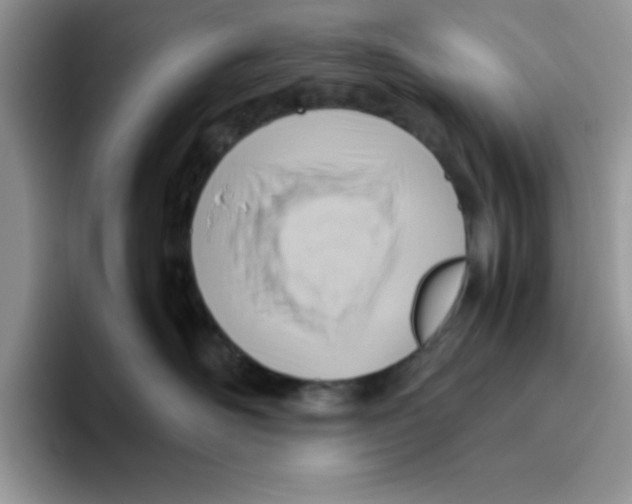 X0000093510526200711091723