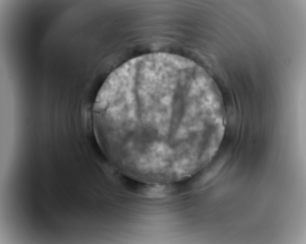 X0000093510527200711091723