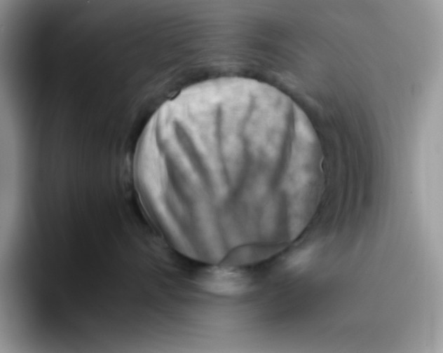 X0000093510528200711091723