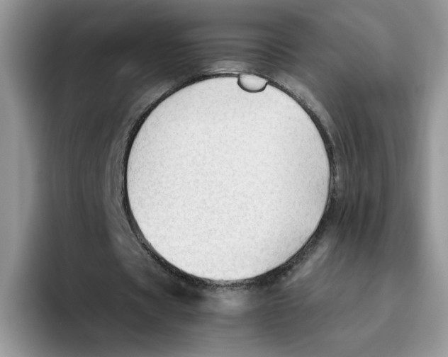 X0000093510529200711091723