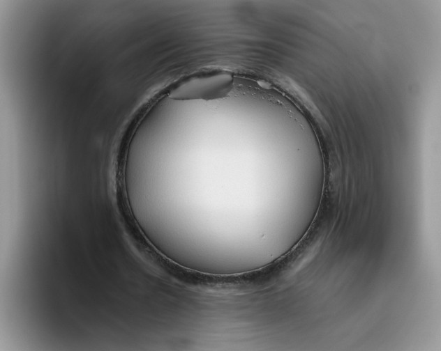 X0000093510530200711091723