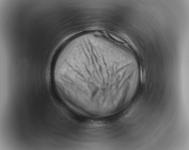 X0000093510531200711091723