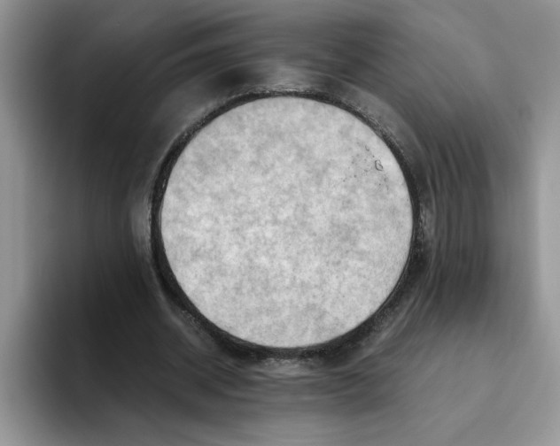 X0000093510534200711091723