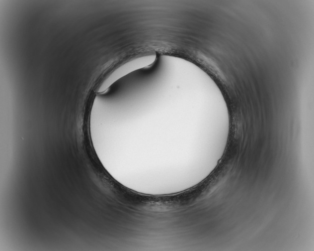 X0000093510538200711091723