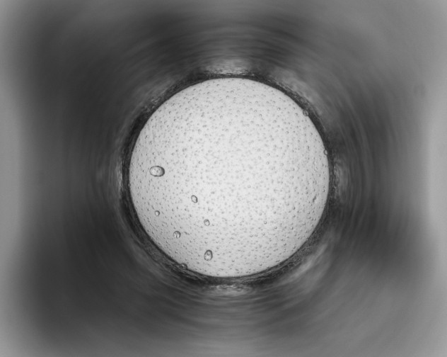 X0000093510541200711091723