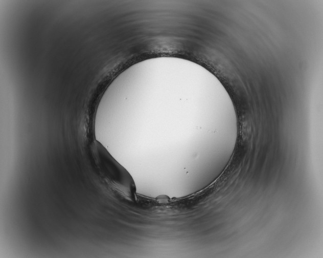 X0000093510544200711091723