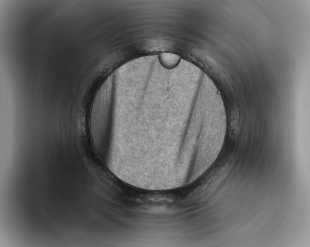 X0000093510547200711091723