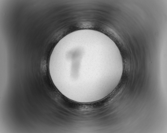 X0000093510549200711091723