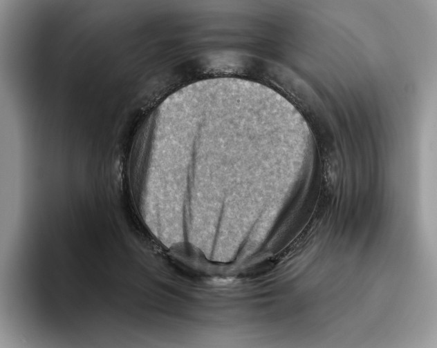 X0000093510551200711091723