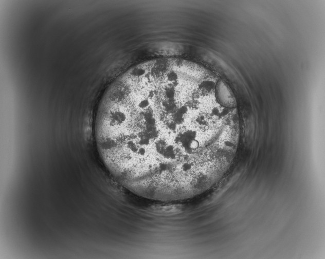 X0000093510553200711091723